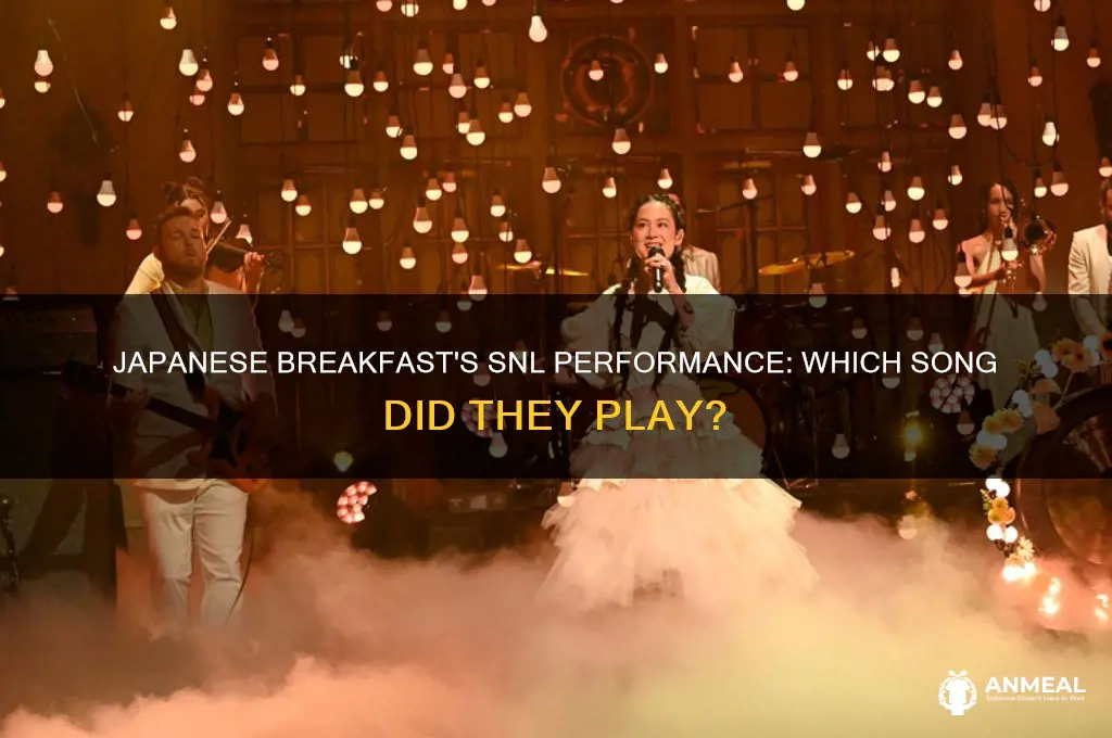 what song did japanese breakfast play on snl