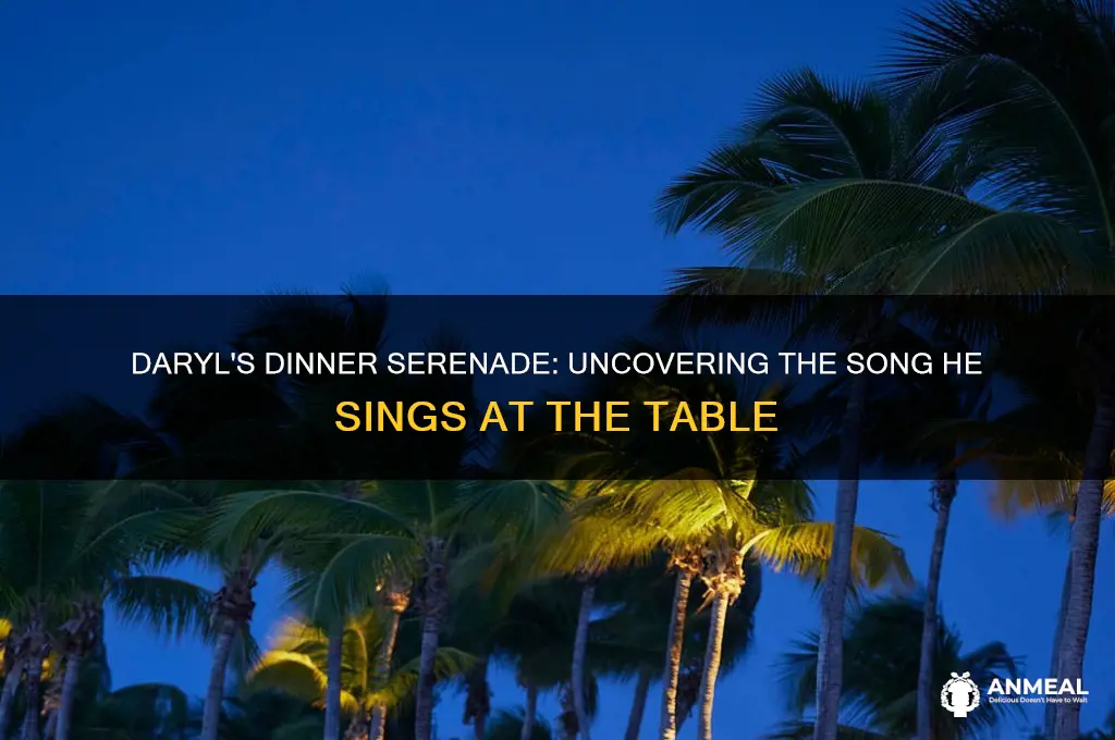 what song does daryl sing at dinner
