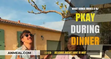 Perfect Dinner Playlist: What Songs Does a DJ Play During Dinner?