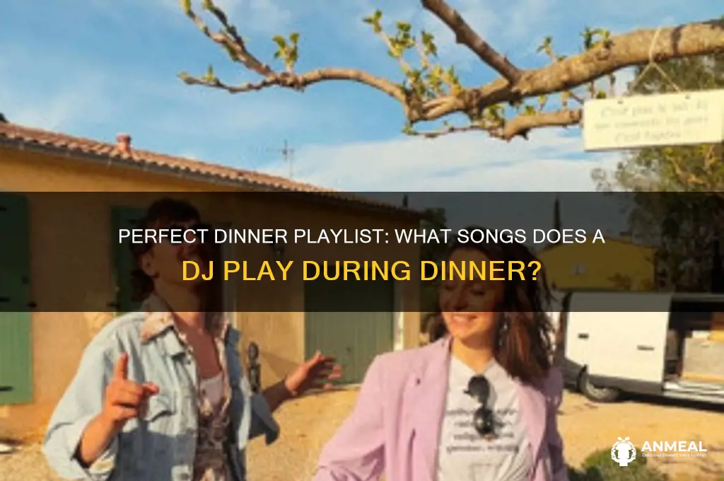 what songs ddoes a dj pkay during dinner