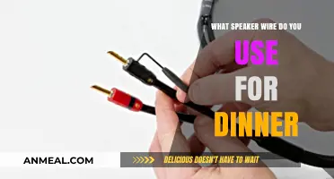 Choosing the Right Speaker Wire for Your Dinner Party Setup