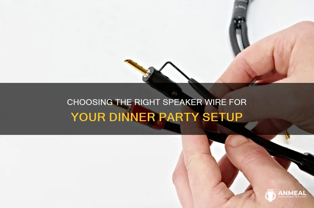 what speaker wire do you use for dinner