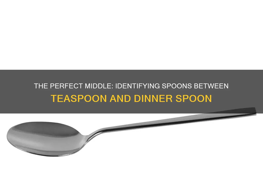 what spoon smaller than dinner spoon and bigger than teaspoon