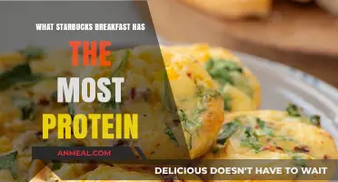 Protein-Packed Starbucks Breakfast: Top High-Protein Morning Meal Options
