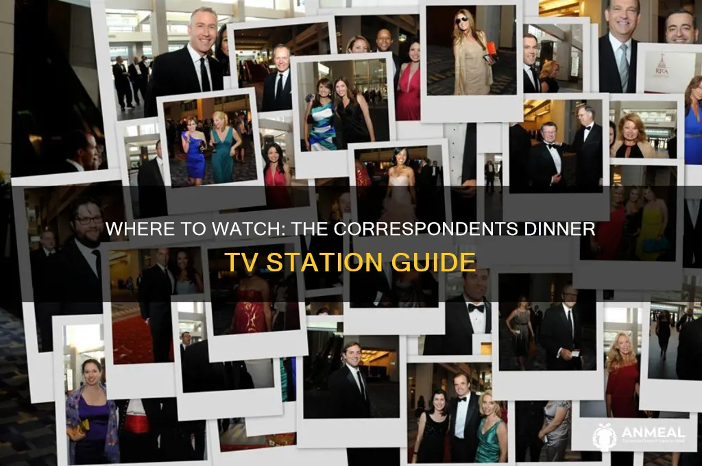 what station is the correspondents dinner on