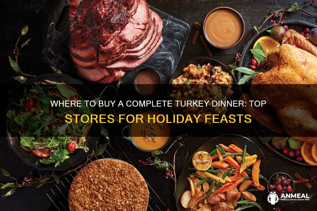 what stores sell complete turkey dinner