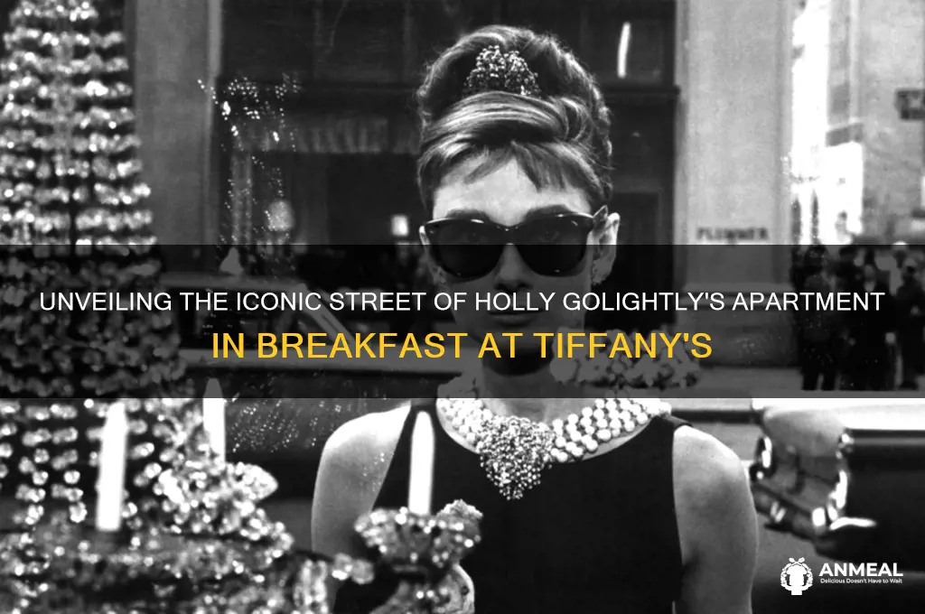 what street was breakfast at tiffanys apt on