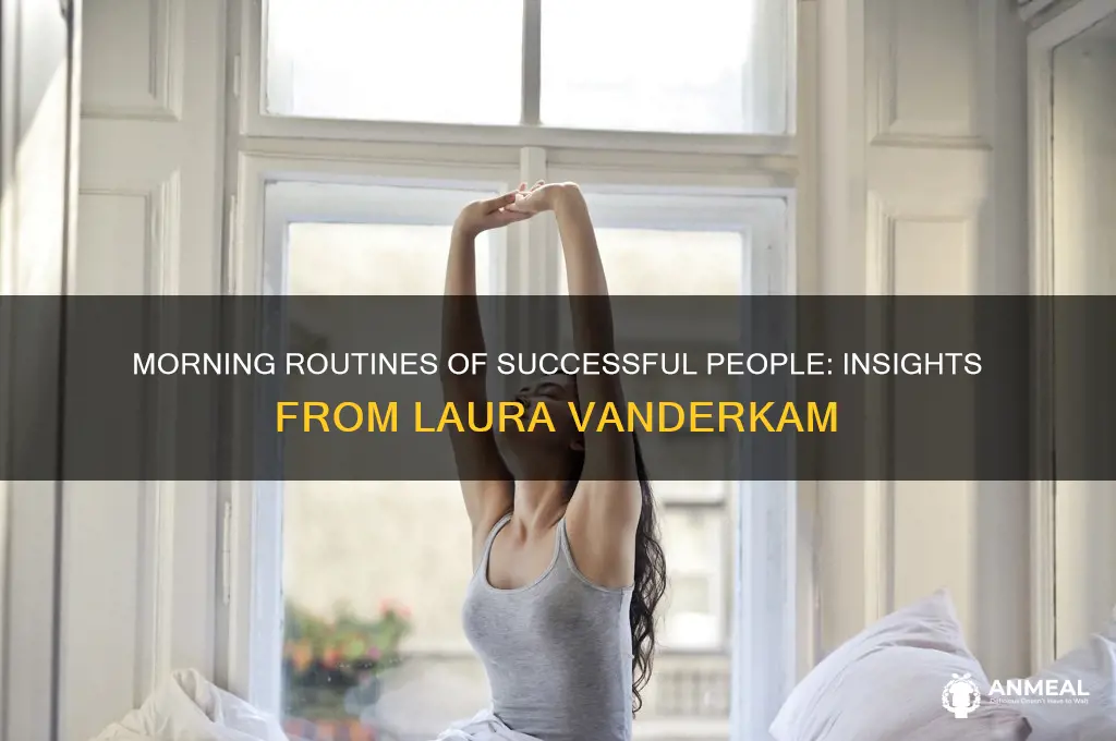 what successful people do before breakfast vanderkam