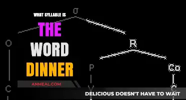 Understanding the Syllable Structure of the Word 'Dinner' in English