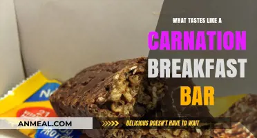 Discovering Flavors: What Tastes Like a Carnation Breakfast Bar?