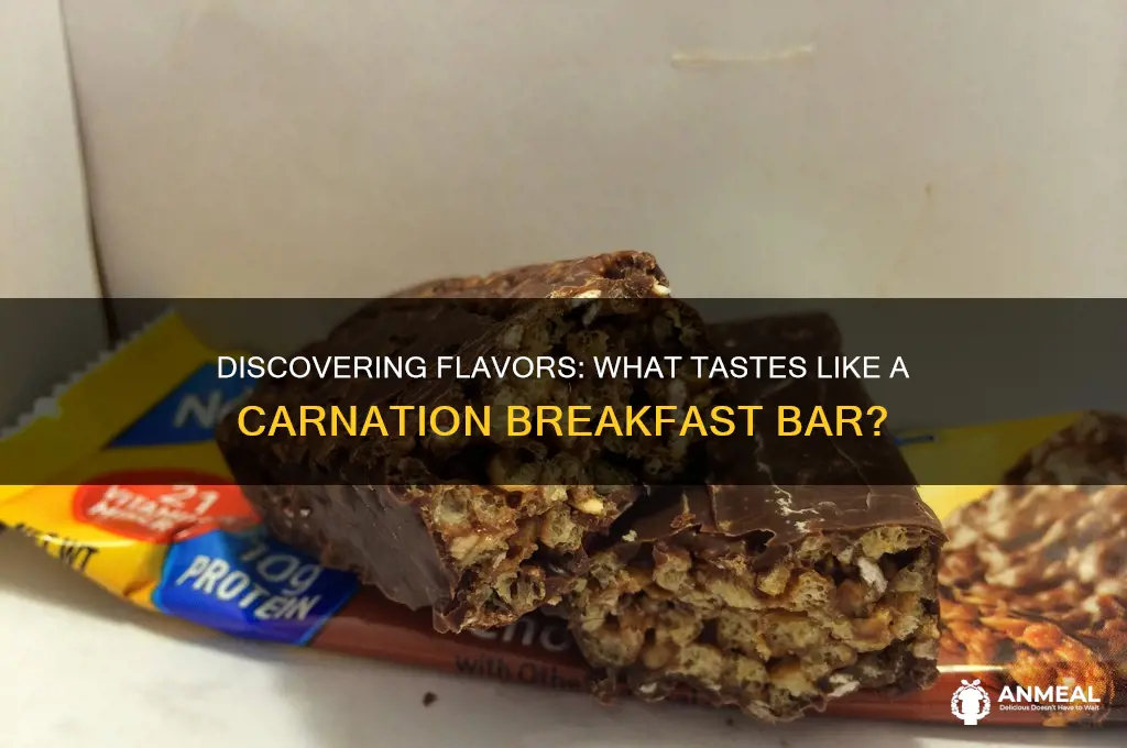 what tastes like a carnation breakfast bar