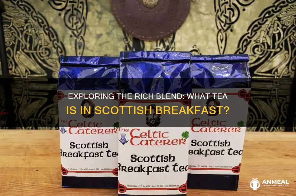 what tea is in scottish breakfast