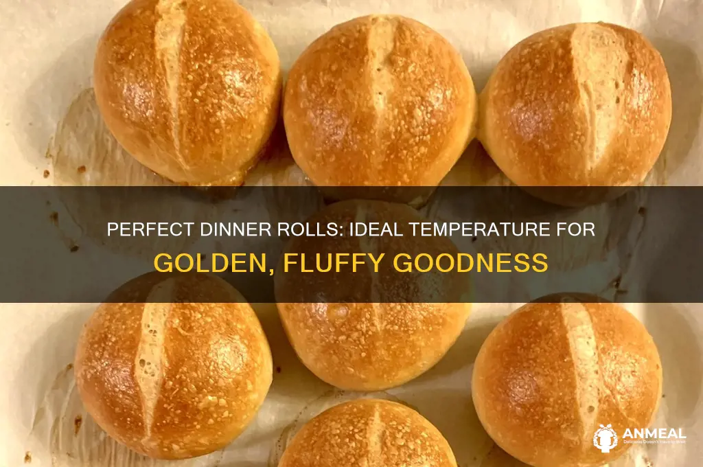 what temp are dinner rolls done