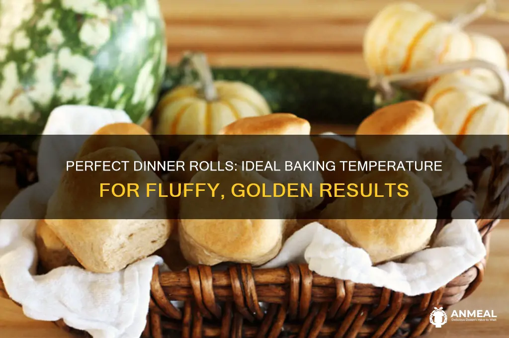 what temp do i bake dinner rolls