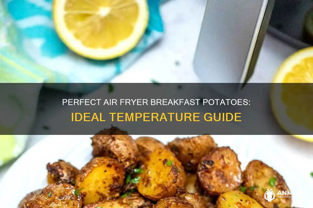 what temp to air fry breakfast potatoes
