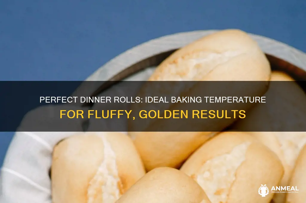 what temp to bake dinner rolls
