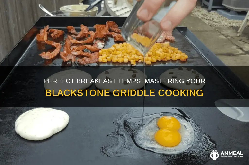 what temp to cook breakfast on blackstone griddle