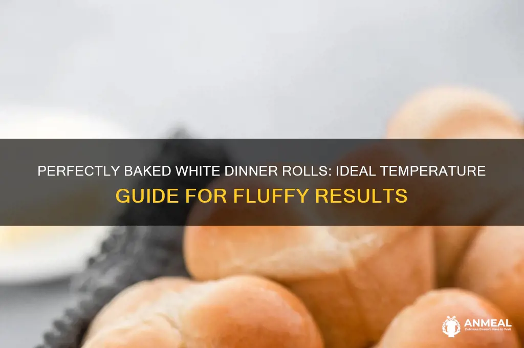 what temperature to bake white dinner rolls