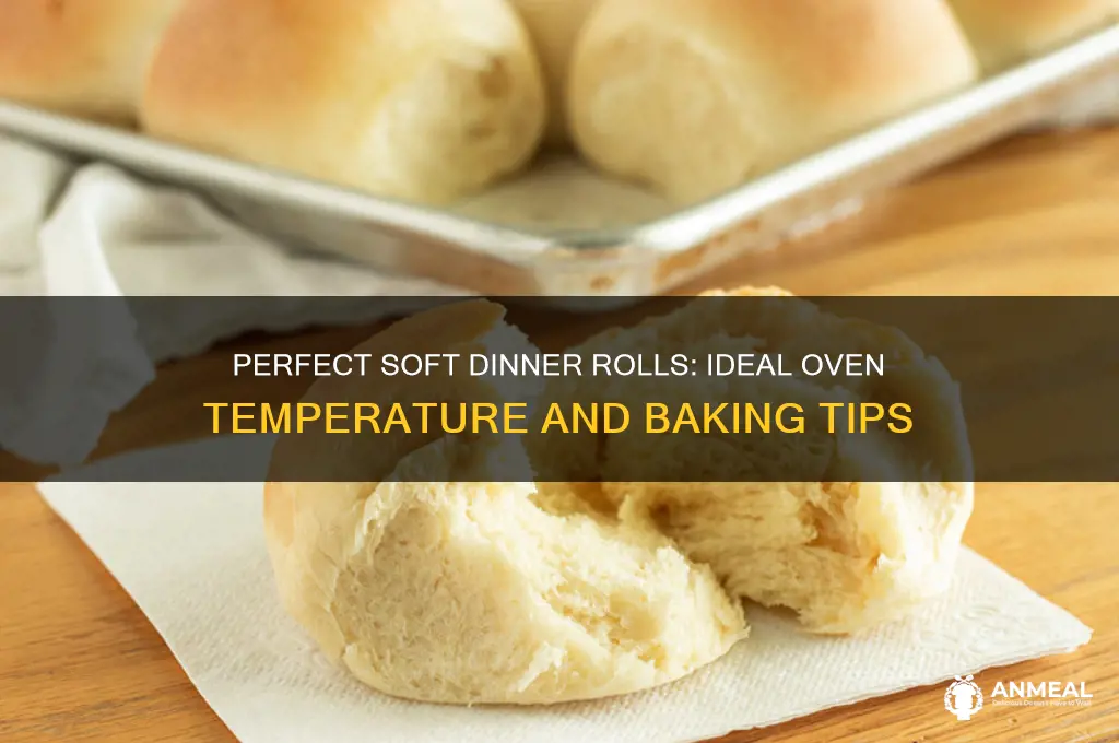 what temperture and oven for baking solf dinner rolls