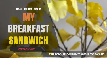 What's That Egg Patty in My Breakfast Sandwich? Explained