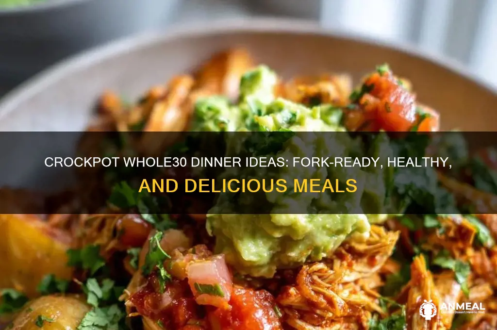what the forks for dinner crockpot whole 30