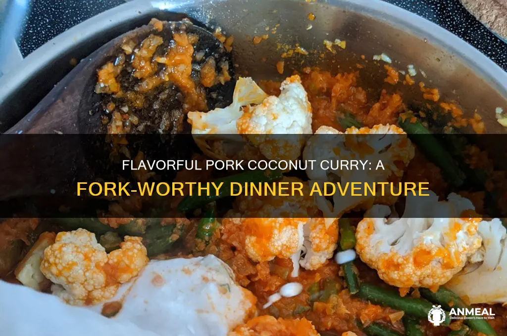 what the forks for dinner pork coconut curry