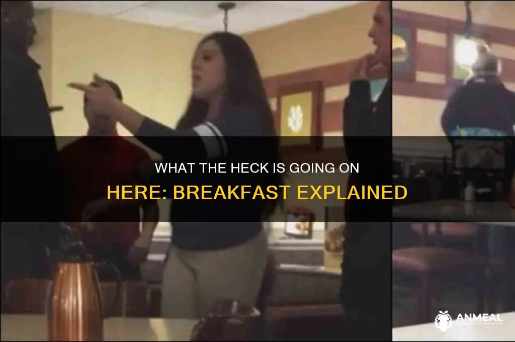 what the heck is going on here breakfast