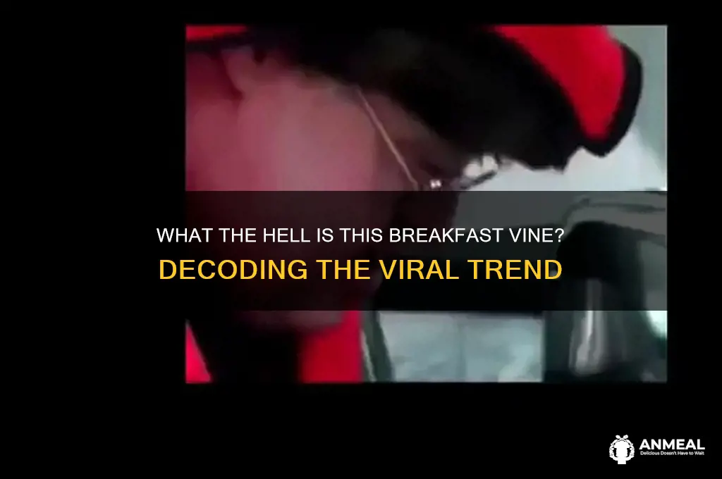 what the hell is this breakfast vine
