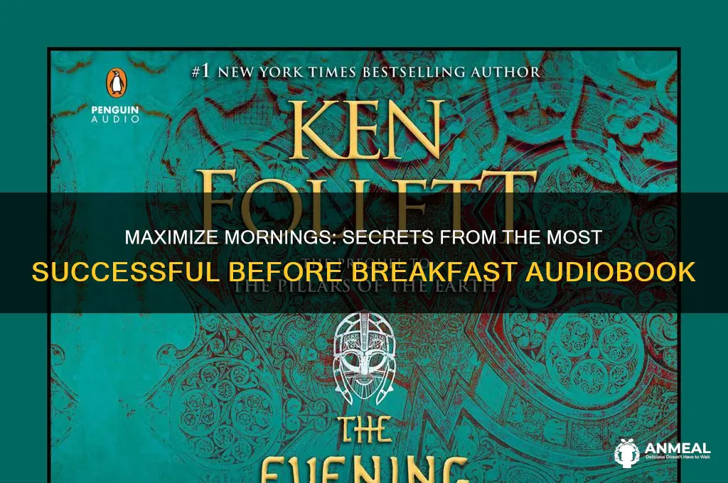 what the most successful do before breakfast audiobook