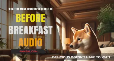 Morning Mastery: Secrets Successful People Practice Before Breakfast Audio