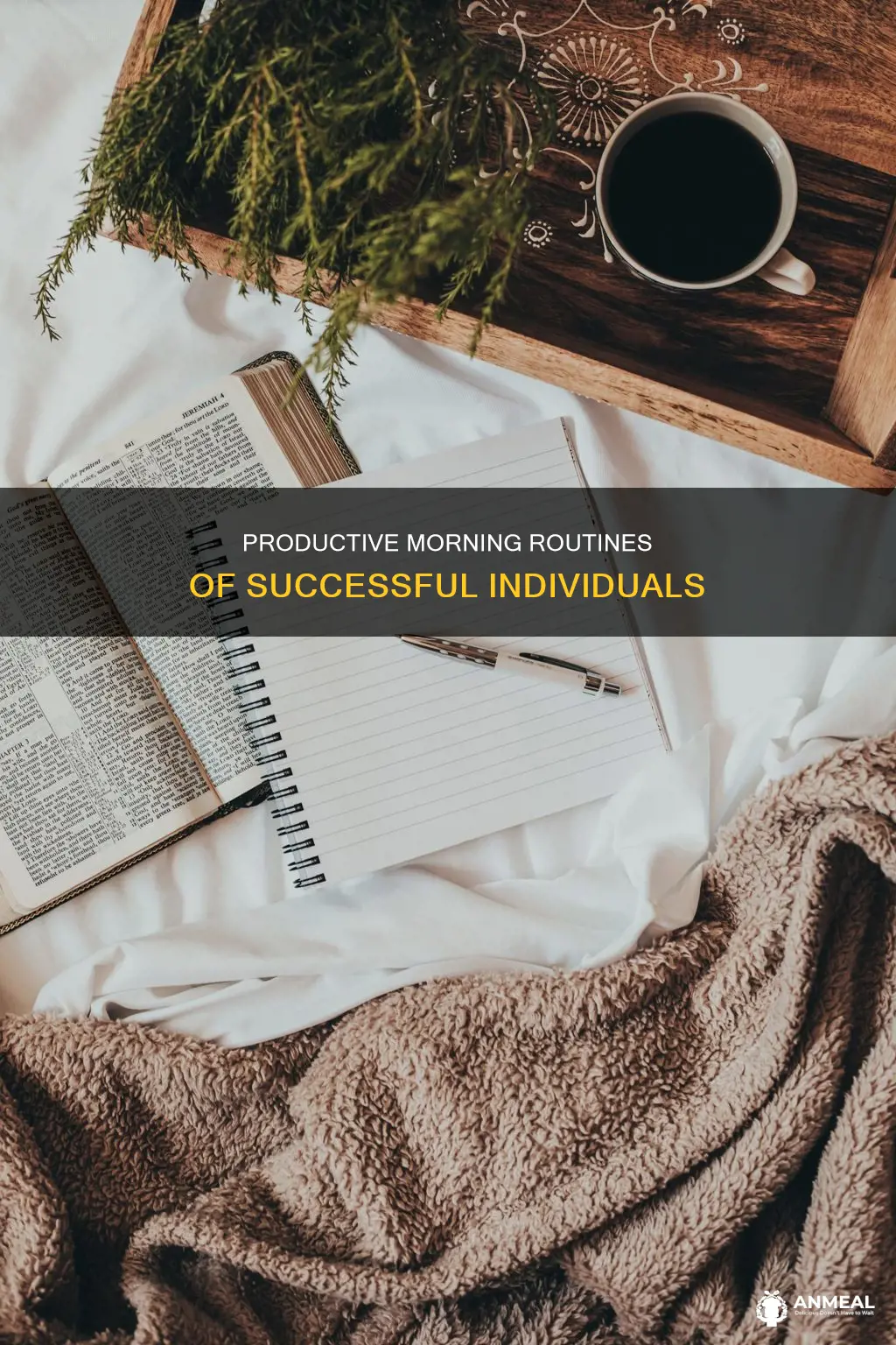 what the most successful people do before breakfast book