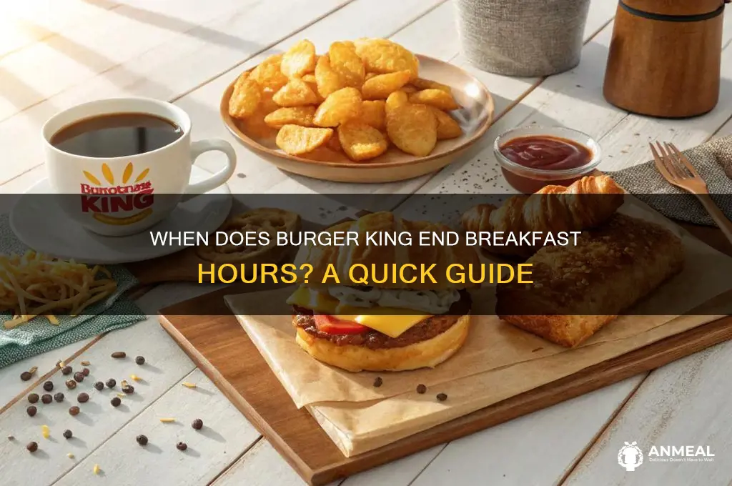 what tiem does burger king stop selling breakfast