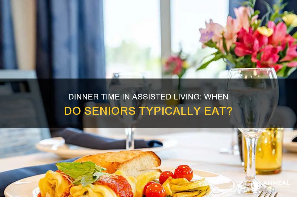 what time do elderly have dinner at assisted living