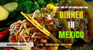 Mexican Meal Times: Lunch and Dinner Schedules Explained