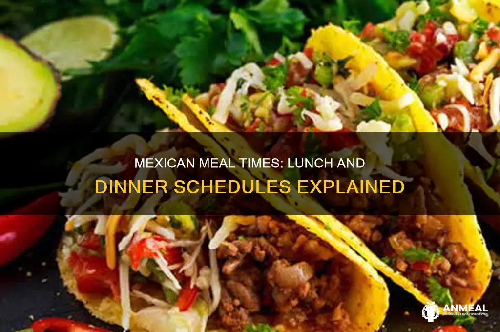 what time do they have lunch and dinner in mexico