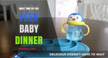 Perfect Timing for Baby’s Dinner: When and How to Feed