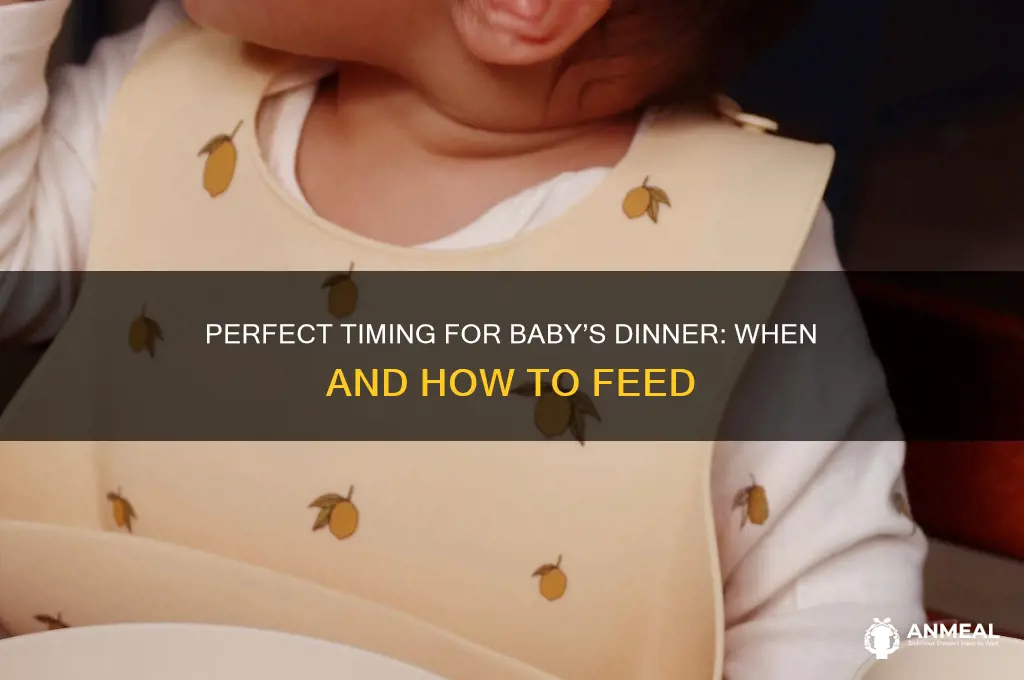 what time do you feed baby dinner