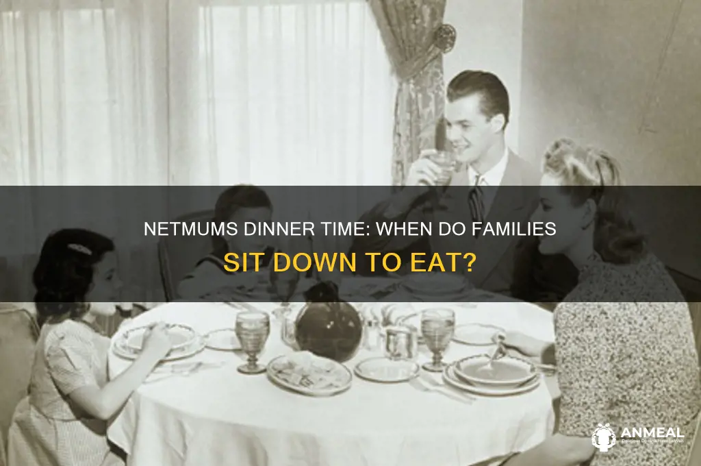 what time do you have dinner netmums