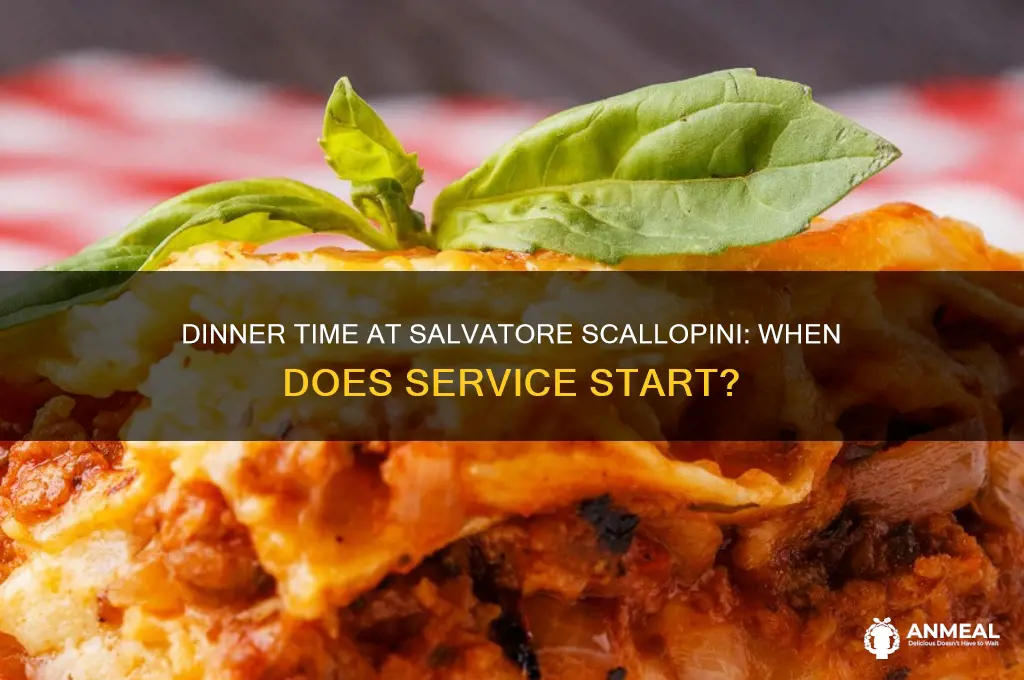 what time does dinner begin salvatore scallopini