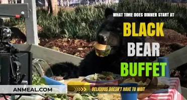 Black Bear Buffet Dinner Hours: When to Enjoy Your Feast