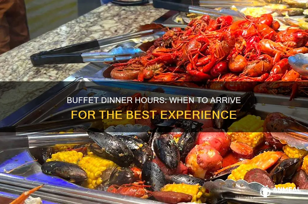 what time does dinner start at buffets