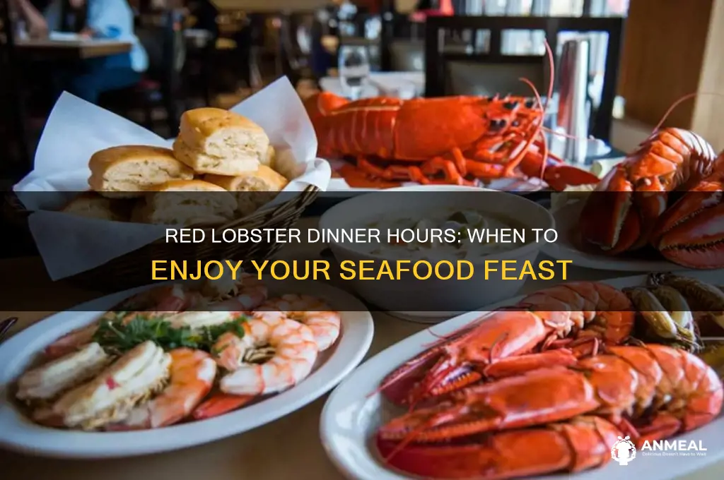 what time does dinner start at red lobster