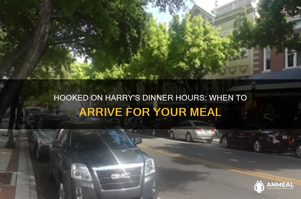 what time does hooked on harrys open for dinner