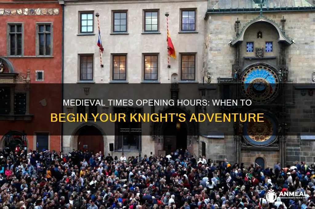 what time does medieval times open