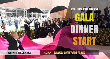 Met Gala Dinner Start Time: When Does the Glamour Begin?
