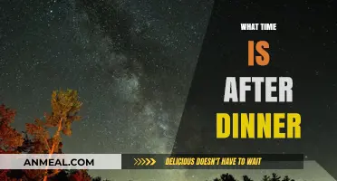 Relaxing Evening Hours: Exploring the Time After Dinner