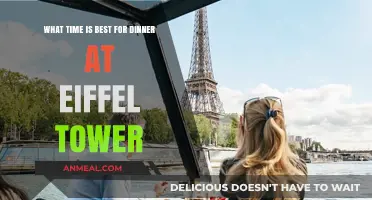 Perfect Timing for a Magical Eiffel Tower Dinner Experience