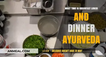 Ayurvedic Meal Timing: Optimal Hours for Breakfast, Lunch, and Dinner
