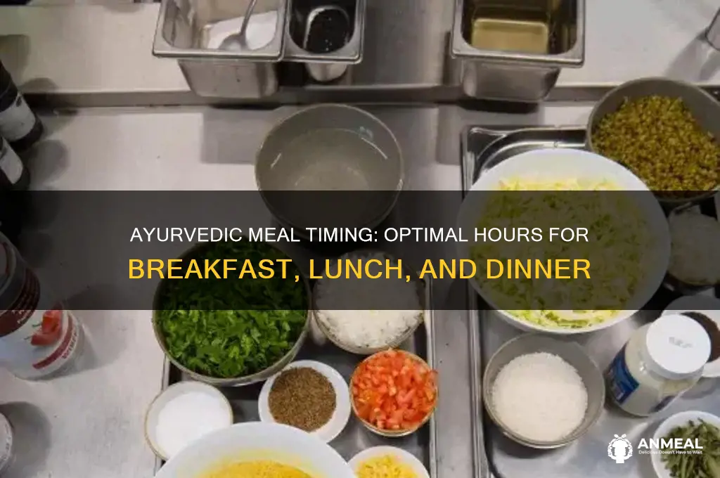 what time is breakfast lunch and dinner ayurveda