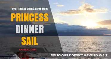 Maui Princess Dinner Sail Check-In Time: What You Need to Know